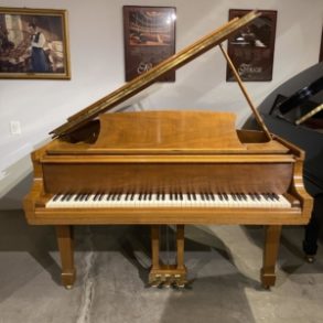 Image for Steinway & Sons “M” Music Room Grand