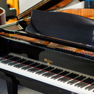 Image forWeber WG-51 Baby Grand