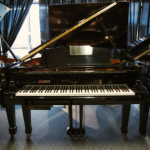 Image for Weber WG-150 Baby Grand w/ QRS Player System