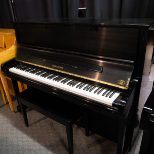 Image forYoung Chang P-121 Pramberger Professional Upright