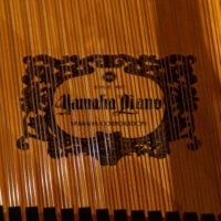Yamaha DC7X E3 PRO Disklavier Professional Semi-Concert Grand