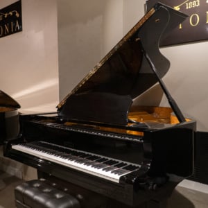 Image forEstonia L190 Handcrafted European Conservatory Grand #2