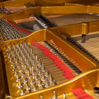 Estonia L190 Handcrafted European Conservatory Grand #2