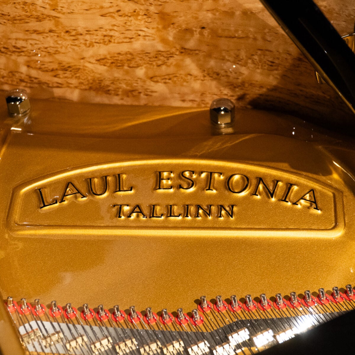 Estonia L190 Handcrafted European Conservatory Grand #2