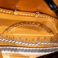 Steinway & Sons 1950 “B” Fully Restored Vintage Artist Grand #1