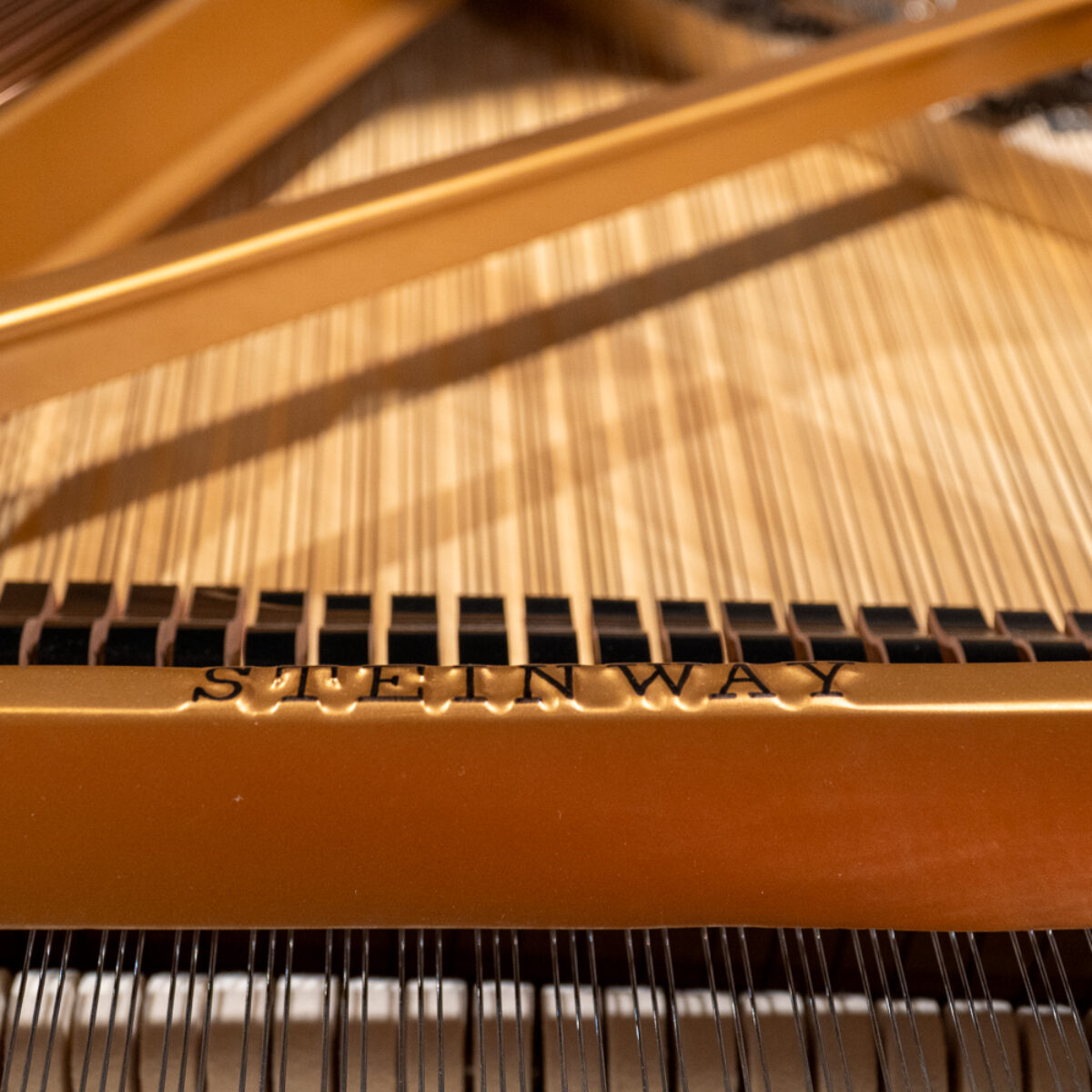 Steinway & Sons 1950 “B” Fully Restored Vintage Artist Grand #1