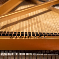 Steinway & Sons 1950 “B” Fully Restored Vintage Artist Grand #1