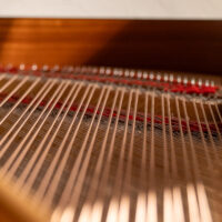 Steinway & Sons 1950 “B” Fully Restored Vintage Artist Grand #1
