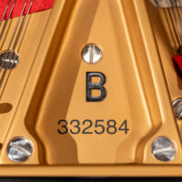 Steinway & Sons 1950 “B” Fully Restored Vintage Artist Grand #1