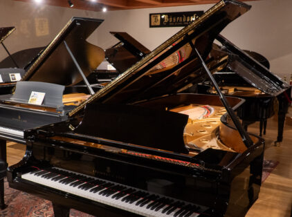 Image for Steinway & Sons 1962 “D” Fully Restored Vintage Concert Grand