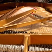Steinway & Sons 1962 “D” Fully Restored Vintage Concert Grand