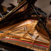 Steinway & Sons 1962 “D” Fully Restored Vintage Concert Grand