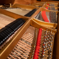 Steinway & Sons 1964 “L” Fully Restored Vintage Conservatory Grand