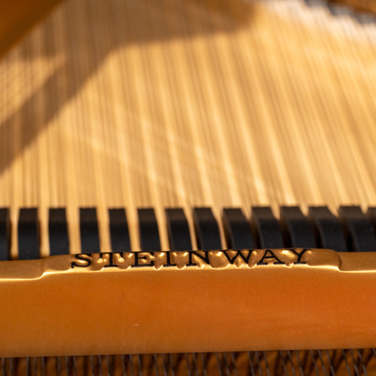 Steinway & Sons 1964 “L” Fully Restored Vintage Conservatory Grand