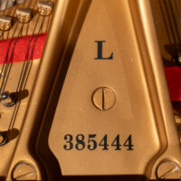 Steinway & Sons 1964 “L” Fully Restored Vintage Conservatory Grand
