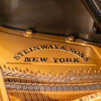 Steinway & Sons Rebuilt “A” Handcrafted Conservatory Grand