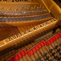Steinway & Sons Rebuilt “A” Handcrafted Conservatory Grand