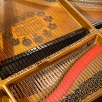 Steinway & Sons Rebuilt “A” Handcrafted Conservatory Grand