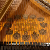 Steinway & Sons Rebuilt “A” Handcrafted Conservatory Grand