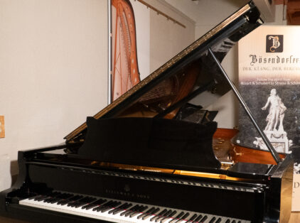 Image for Steinway & Sons Hamburg 1984 “D” Fully Restored Concert Grand