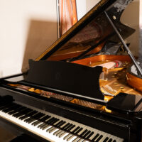 Steinway & Sons Hamburg 1984 “D” Fully Restored Concert Grand