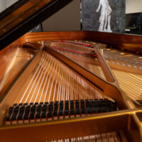Steinway & Sons Hamburg 1984 “D” Fully Restored Concert Grand