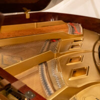 Boston by Steinway GP178 Professional Conservatory Grand