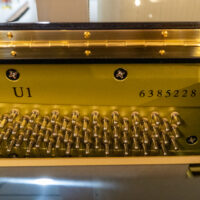 Yamaha U1 Professional Upright