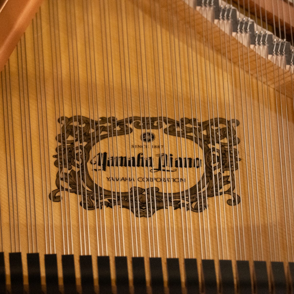 Yamaha C2X SH3 Conservatory Grand with Silent Piano