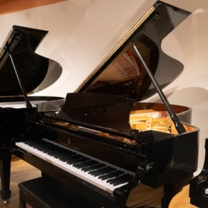 Image forSteinway & Sons 1978 “B” Fully Restored Artist Grand #2