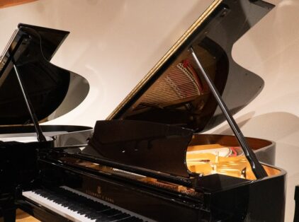 Image for Steinway & Sons 1978 “B” Fully Restored Artist Grand #2
