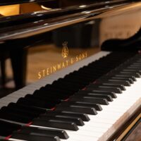 Steinway & Sons 1978 “B” Fully Restored Artist Grand #2