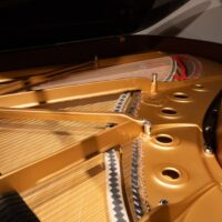 Steinway & Sons 1978 “B” Fully Restored Artist Grand #2