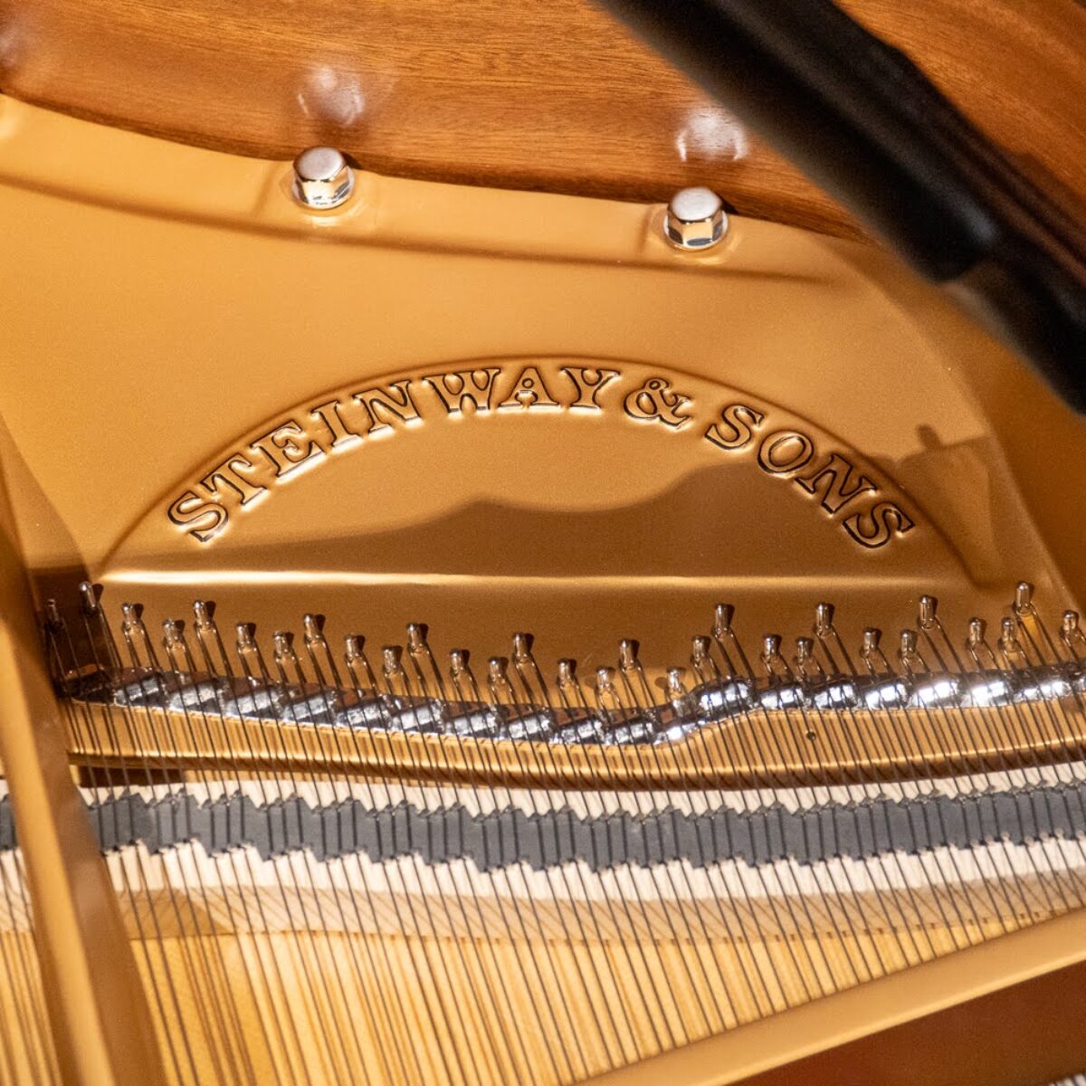 Steinway & Sons 1978 “B” Fully Restored Artist Grand #2