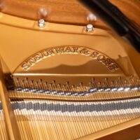 Steinway & Sons 1978 “B” Fully Restored Artist Grand #2