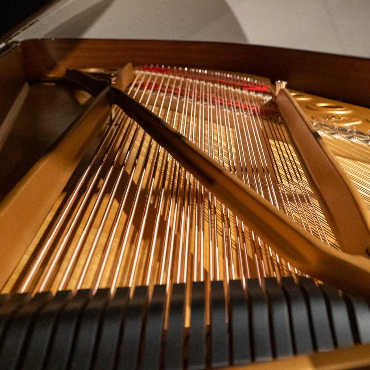 Steinway & Sons 1978 “B” Fully Restored Artist Grand #2