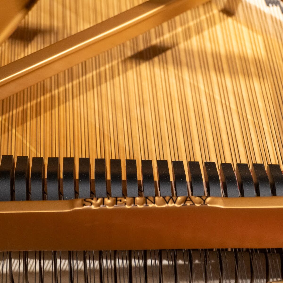 Steinway & Sons 1978 “B” Fully Restored Artist Grand #2