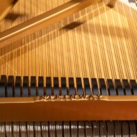 Steinway & Sons 1978 “B” Fully Restored Artist Grand #2