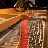 Steinway & Sons 1978 “B” Fully Restored Artist Grand #2
