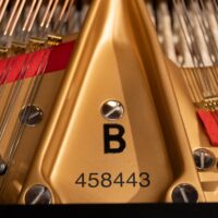Steinway & Sons 1978 “B” Fully Restored Artist Grand #2