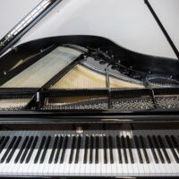 Steinway & Sons 1941 “M Jet Noir” Fully Restored Vintage Parlor Grand