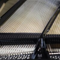 Steinway & Sons 1941 “M Jet Noir” Fully Restored Vintage Parlor Grand