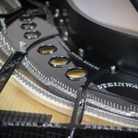 Steinway & Sons grand piano interior strings and plate detail, showcasing premium craftsmanship and design.