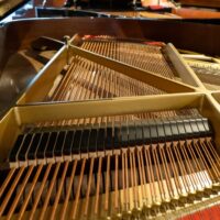Kawai RX-2 Classic Conservatory Grand