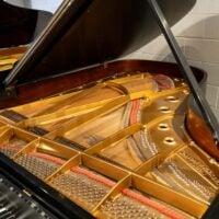 Mason & Hamlin “BB” Handcrafted American Artist Grand #2