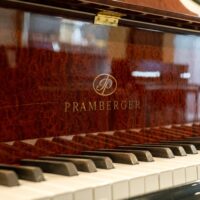 Pramberger by Young Chang JP-208 Artist Grand