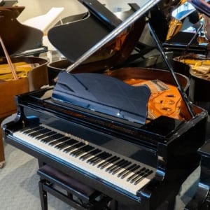 Image forWilhelm Schimmel W180T European Conservatory Grand