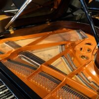 Wilhelm Schimmel W180T European Conservatory Grand