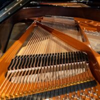 Wilhelm Schimmel W180T European Conservatory Grand