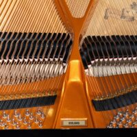 Wilhelm Schimmel W180T European Conservatory Grand